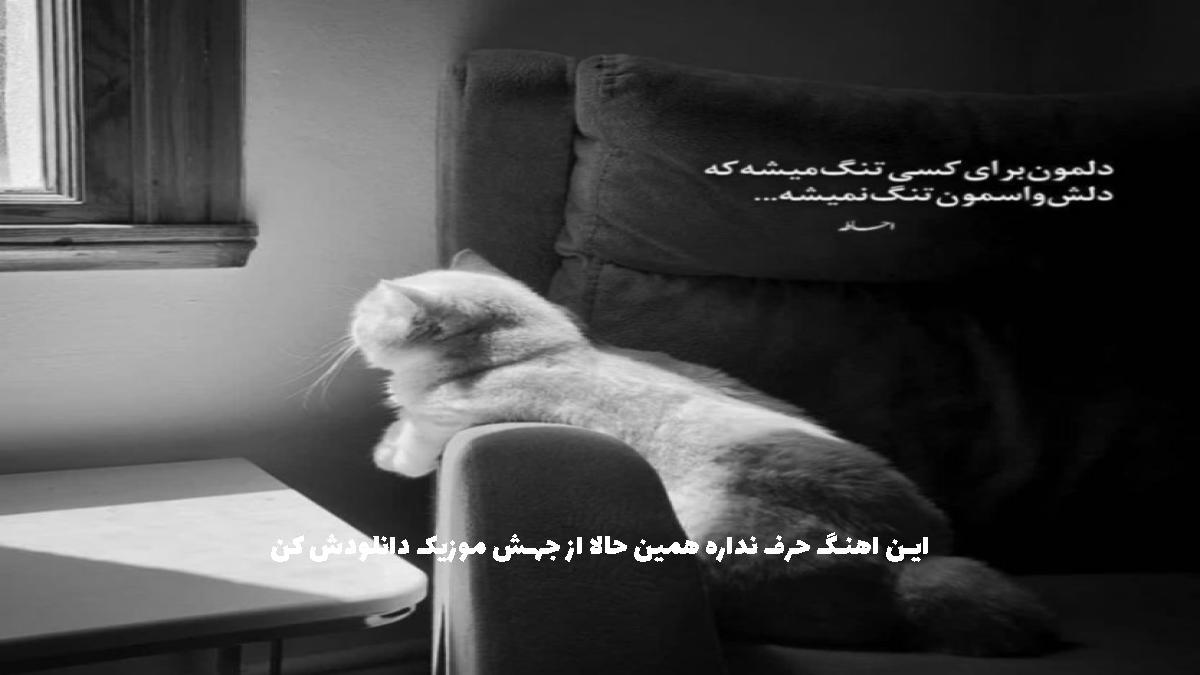 عکس آهنگ یه ماهی بودم تو تنگ دلت که گلالودم از ناصر زینعلی